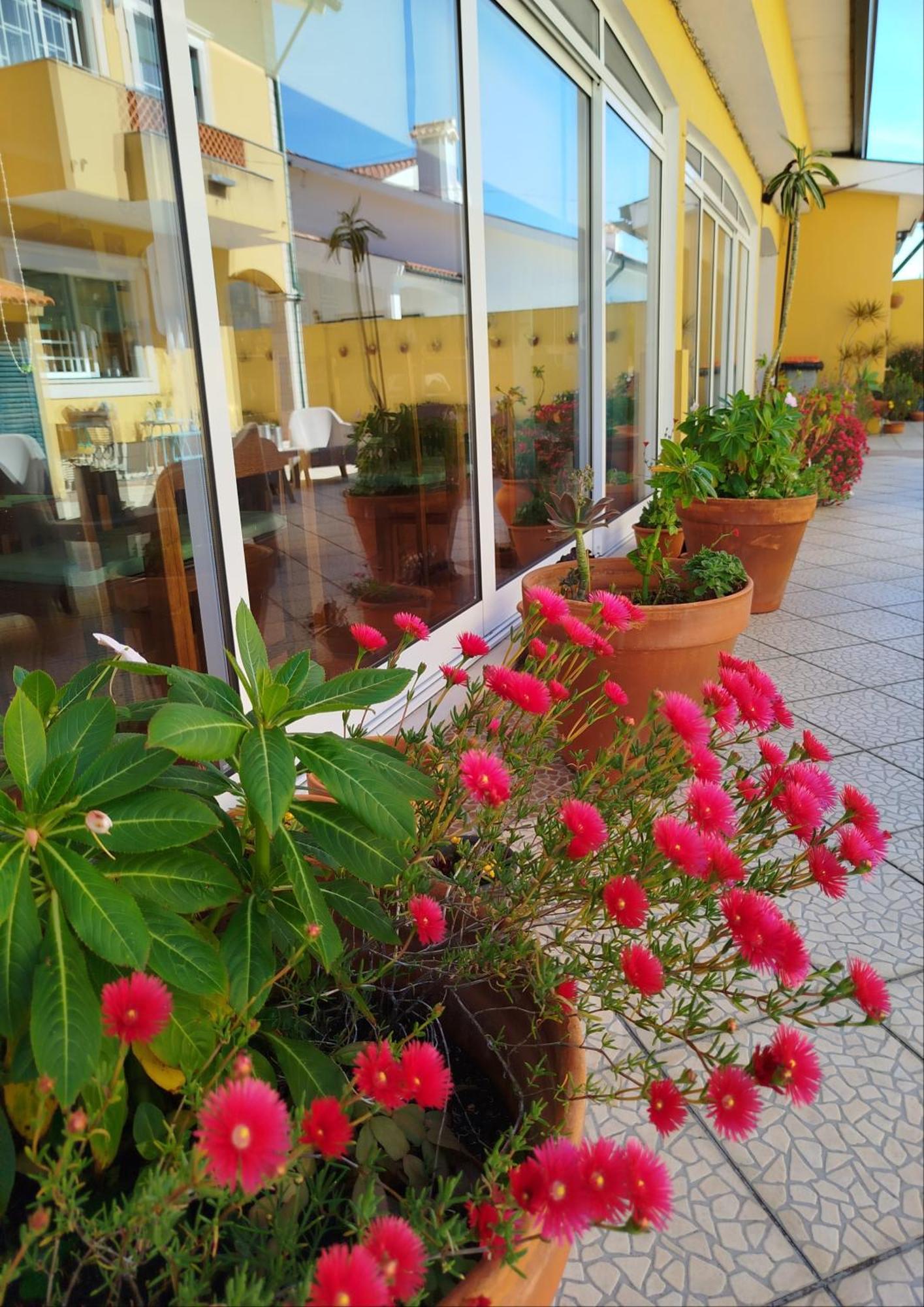 A Casa Da Ti Laura - Al Hotel Aveiro Exterior photo